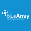 BLUE ARRAY LTD (BASINGSTOKE)